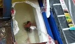 郑州甘蔗爆料事件真相视频,揭秘背后惊人内幕